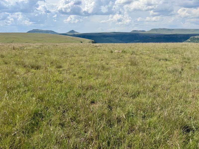 0 Bedroom Property for Sale in Harrismith Free State